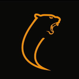 Logo Tigervel Multimarcas